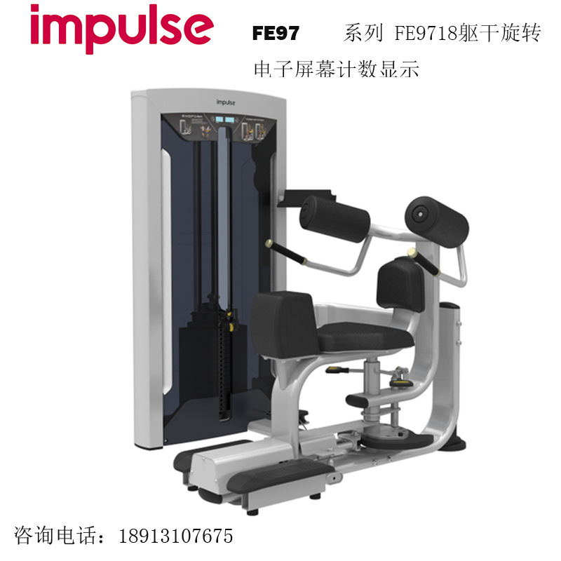 英派斯FE9718躯干旋转.jpg