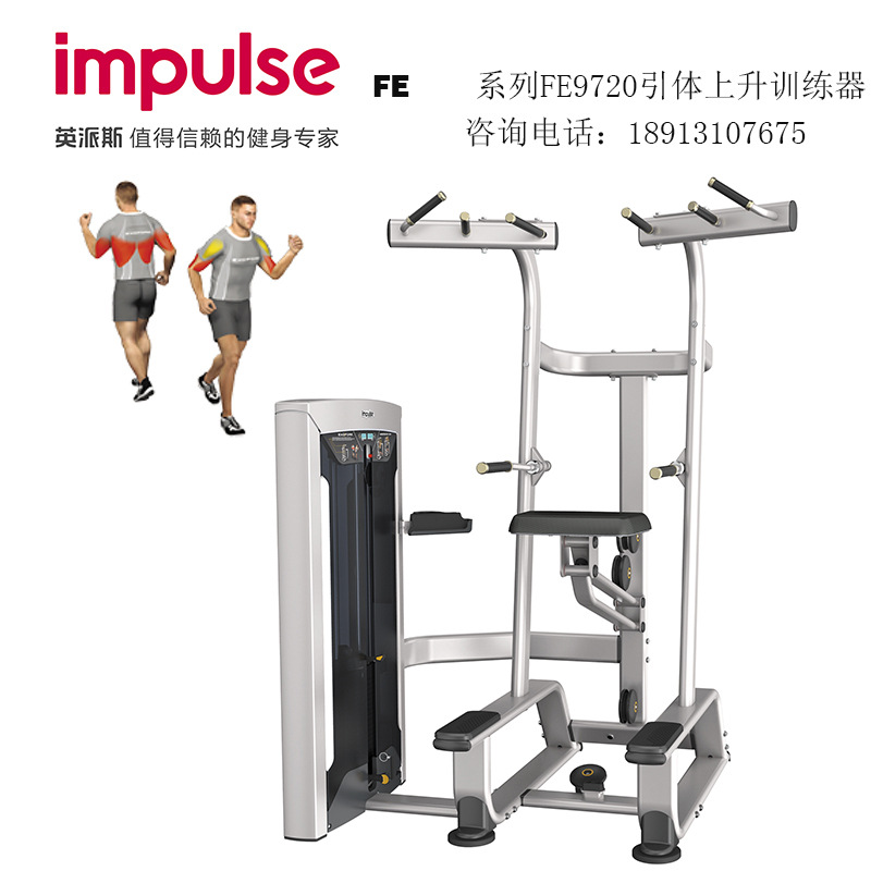 英派斯FE9720引体上升训练器.jpg