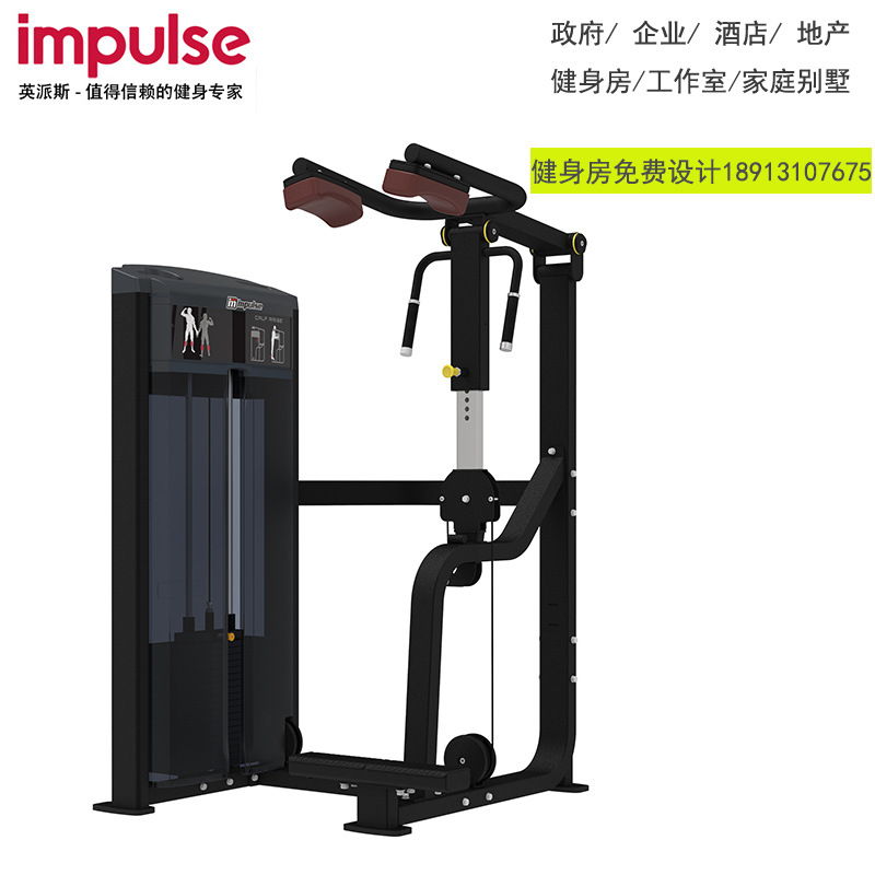英派斯IF9316立式小腿训练器